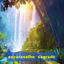 escaravelho sagrado e perigoso